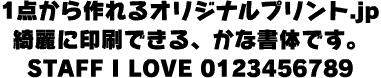ロダンハッピー Pro B