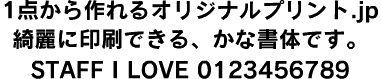 ロダンローズ B