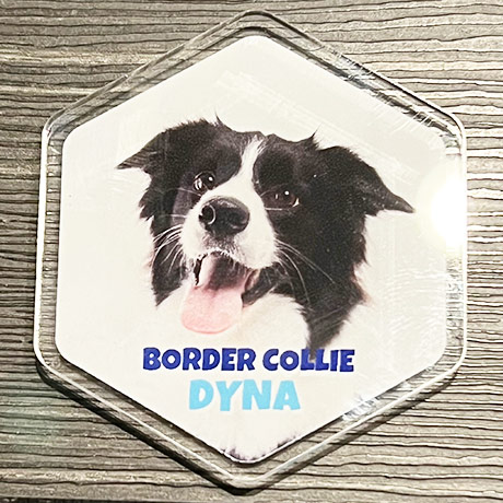 レビュー投稿画像