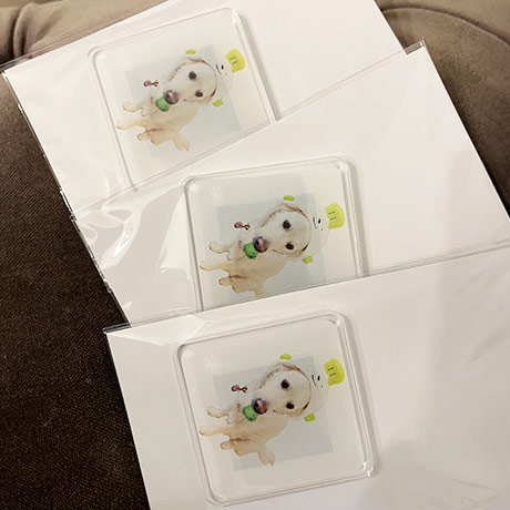 レビュー投稿画像