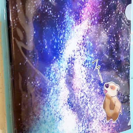 レビュー投稿画像