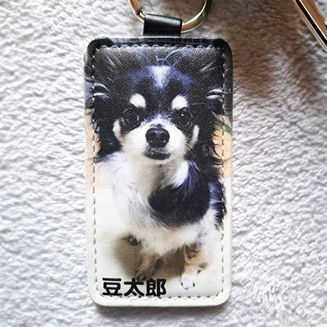 レビュー投稿画像