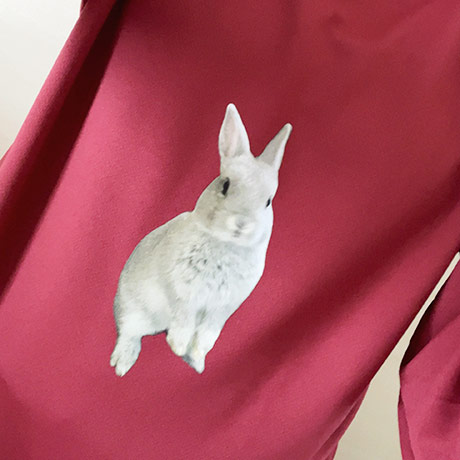 レビュー投稿画像