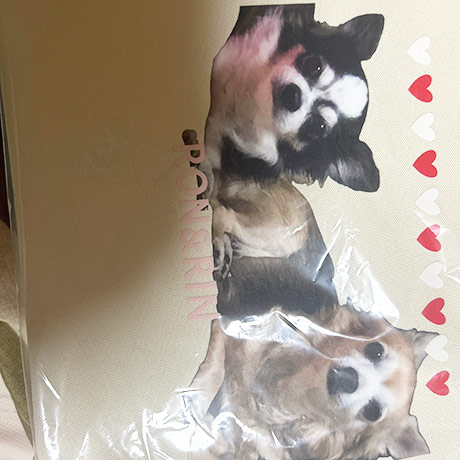 レビュー投稿画像