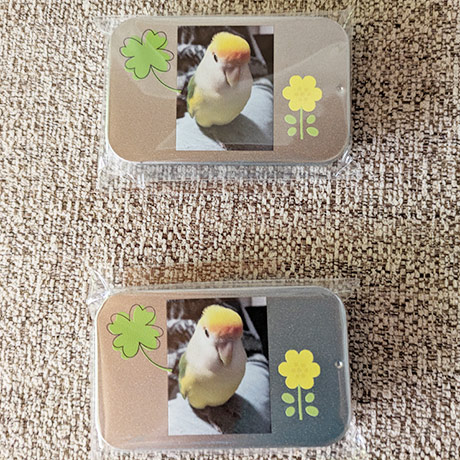 レビュー投稿画像