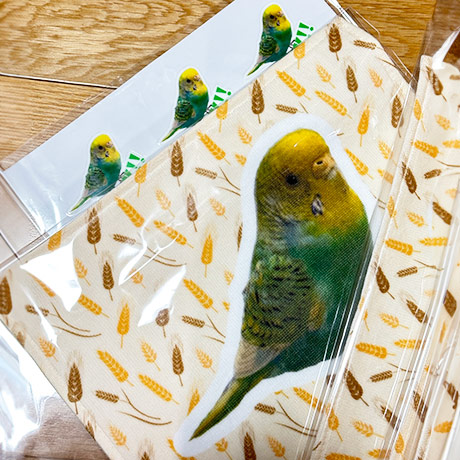レビュー投稿画像