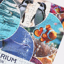 パズルの全面にフルカラープリントが可能！