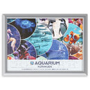 シルバー・ホワイトの2色のフレーム（オプション・有料）