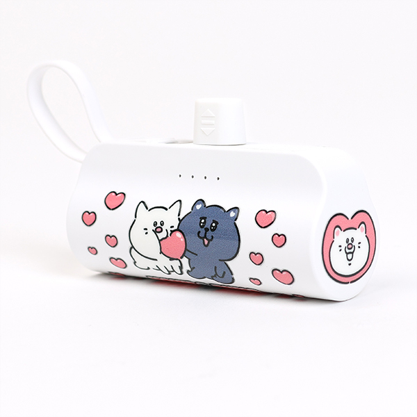 ダイレクトモバイルチャージャー 5000