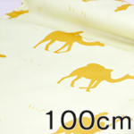 ブロード　100cm x 100cm