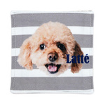 全面印刷 コースター