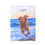 A4クリアファイル 10枚セット