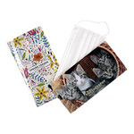 マスクケース 10枚セット