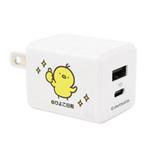 PD20Ｗコンセントチャージャー C＋A