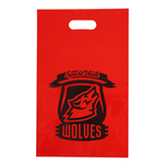 1色印刷 A4 プロモバッグ（カラー）