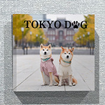 正方形ファブリックパネル（30cm×30cm）