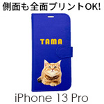 iPhone 13 Pro 手帳型ケース