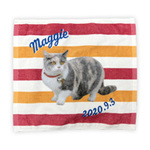 定番ミニタオル